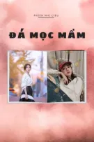 [BHTT] Đá Mọc Mầm - Phiên Nhi Liêu