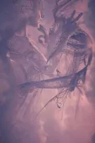 [DROP]| Husbando x Reader | Chỉ có đôi ta...