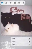 [ Fado ] Cạm Bẫy