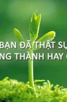 Góc nhỏ trong tim