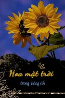 Hoa mặt trời trong bóng tối