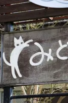 hungan | luv and cat