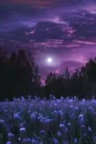 Intoxicating- [Dionysus-Ariadne]