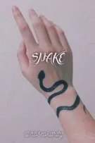 JIKOOK/KOOKMIN AU |TRANS| SNAKE