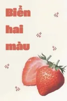 【 LCK 】  biển hai màu