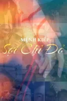 Mệnh Kiếp - Sợi Chỉ Đỏ