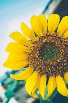 Mình học được gì từ sách - Những trích dẫn ấn tượng