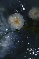 Một vài câu truyện nhỏ của Otp
