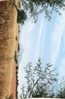 N G O A N và vụn vặt chút cảm tình