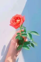 Những Câu Chuyện Nhỏ Về Cuộc Sống