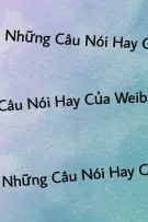 Những Câu Nói Hay Của Weibo 1