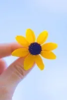Ở nơi này, chúng ta không cô đơn/ Tản văn