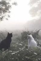 [RUJINU] White Noise