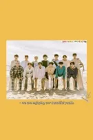 [SEVENTEEN] - it's called love