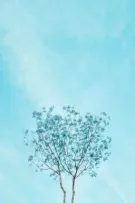 [Threeshot - SE] Our Memory