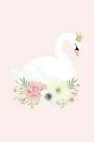 Tuyển nhân sự | Swan_team