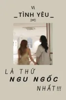Vì Tình Yêu Là Thứ Ngu Ngốc Nhất [GL]