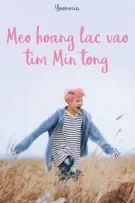 yoonmin || mèo hoang lạc vào tim min tổng