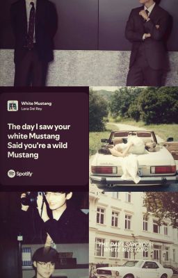 #01 White Mustang 