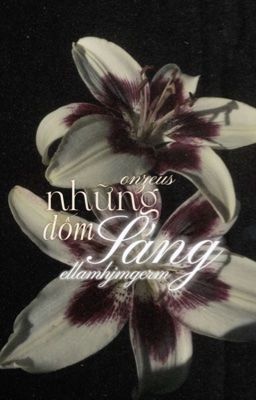 [03:00] on2eus ‎◜ ⟣𓂃 những đốm sáng ‧ ✧ ◞