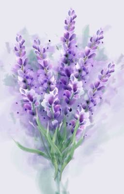 (0403) Cơ Hội Thứ Hai 