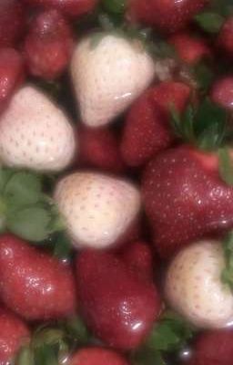 100k lộn xộn x mab