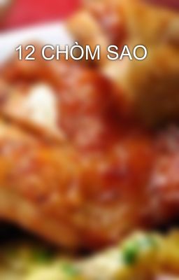 12 CHÒM SAO