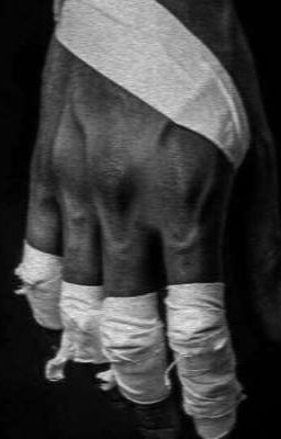 [12 Cung Hoàng Đạo] Gạt