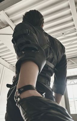 12cs × eabo × gb, bl, gl × cung thủ