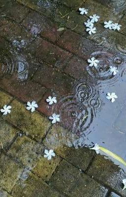 〔12cs〕Geheimnis ∘˙୨୧˙∘