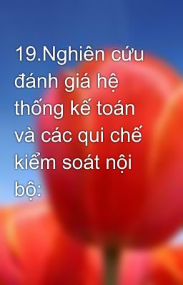 19.Nghiên cứu đánh giá hệ thống kế toán và các qui chế kiểm soát nội bộ: