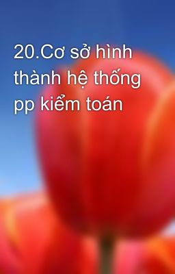 20.Cơ sở hình thành hệ thống pp kiểm toán