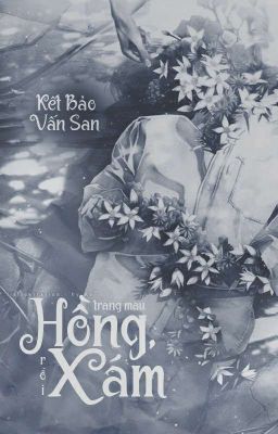 2csﾟ°☆ trang màu hồng, rồi xám