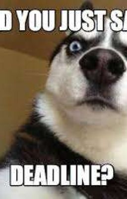 7749 days-7749 fanfic tạp nham theo yêu cầu(và sở thích)