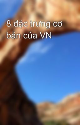 8 đặc trưng cơ bản của VN