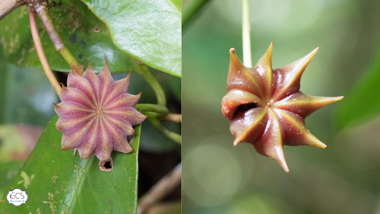 68747470733a2f2f73332e616d617a6f6e617773