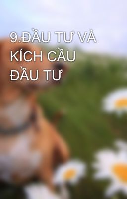 9.ĐẦU TƯ VÀ KÍCH CẦU ĐẦU TƯ