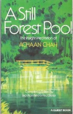 A Still Forest Pool - Mặt hồ tĩnh lặng