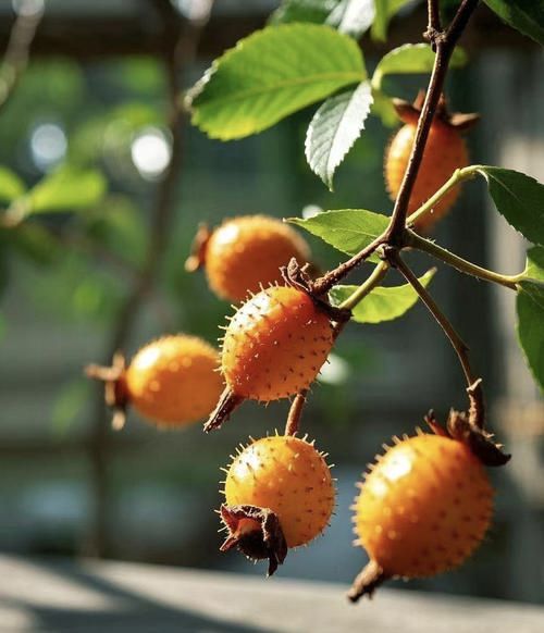 68747470733a2f2f73332e616d617a6f6e617773