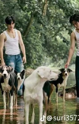 Aaaa Người Yêu Cũ ! 