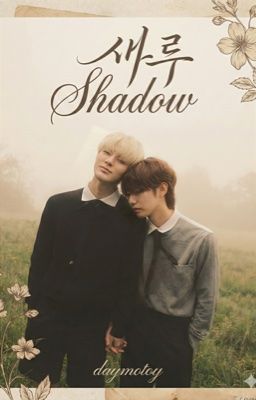 ABO - H| NOREN - SHADOW