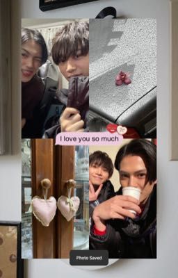 [ ace x keiwa ] hướng dương ngược nắng