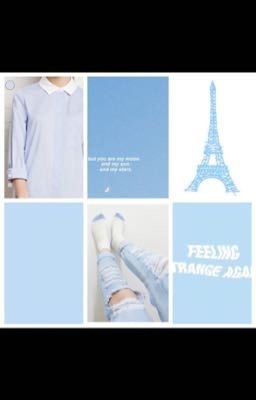 Admin book 