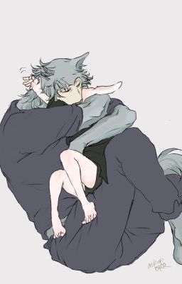 ÁI NGƯ VI MIỂU VÀ ĐẠI HẮC LANG