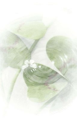 [AKAM] Tứ khúc lời nói dối