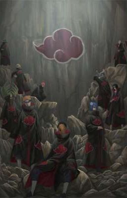Akatsuki x reader 