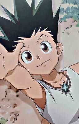 All x Gon (Ảnh) [Hxh/Hunter x Hunter] 