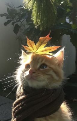 [all14] trân quý, thân thương, yêu dấu,...