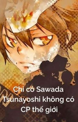 【All27/Mecha】Chỉ có Sawada Tsunayoshi không có CP thế giới