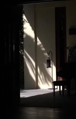 alldg | may you never forget me